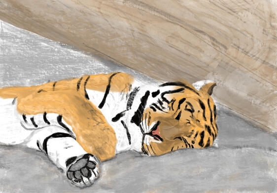 Sleepy Tiger- A digital painting