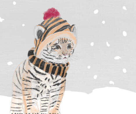Tiger in the Snow