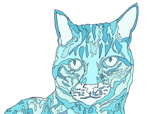 Aquamarine Cat